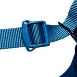 Black Diamond Men's Momentum Harness Outdoor Action Kingfisher- Buckle