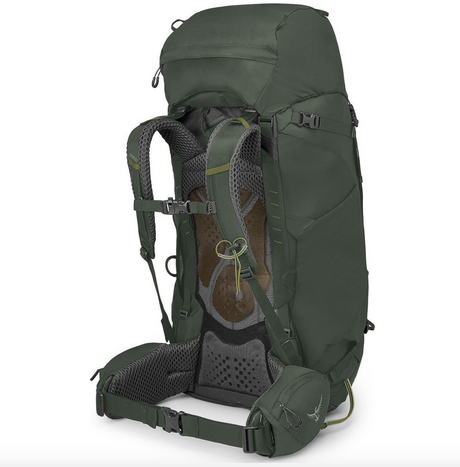 Osprey Kestrel 68 Backpack - bonsai green - back photo