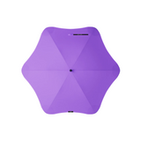 BLUNT Classic Umbrella Top Violet Purple